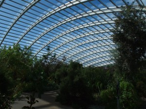 greenhouse-703047_1280